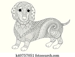 Dachshund dog Dachshund dog