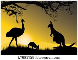 two kangaroo and emu two kangaroo and emu