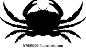 סרטן, צללית