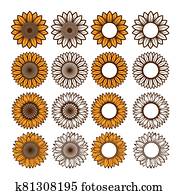 Sunflower Sunflower