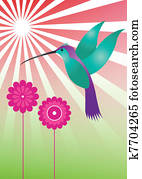 colorful hummingbird colorful hummingbird
