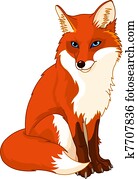 Cute fox Cute fox