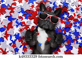 dia independência, 4 de julho, cão