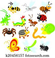 Insects Insects