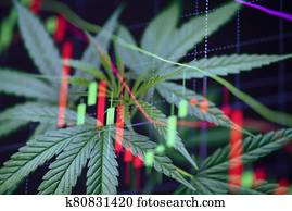 komandējums, marihuāna, cannabis, leaves, ar, celms, grafiks, charts, dzeršana uz vietas, noteiktais artikuls, celms, tirgoties, birža, dzeltena krāsa, trading, īss kopsavilkums, ielenkums, /, komivojažieris, cannabis, talismans, naudas summas, krīze, un, audzējs, higher, novērtējums