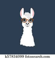 Llama in round glasses Llama in round glasses