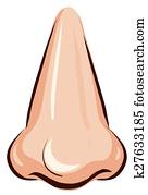 Nose
