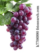 יין אדום, grape,, הפרד