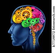 Brain function Brain function