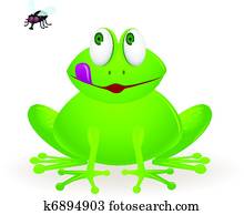 Frog and fly Frog and fly