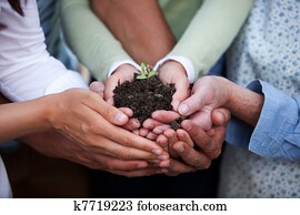 Hands Holding Plant