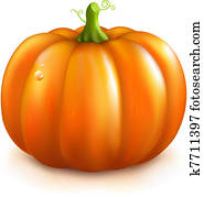 orangengartenkürbis orangengartenkürbis