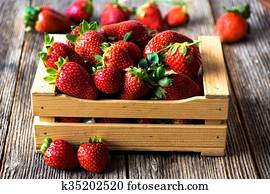 Strawberry Strawberry