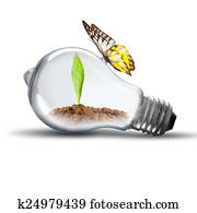 Light Bulb Light Bulb