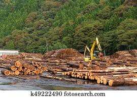 Timber Industry Images | Our Top 1000+ Timber Industry Stock Photos