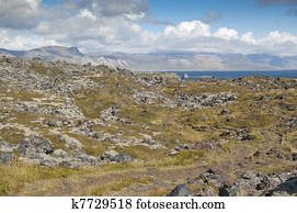 Tundra next to coast