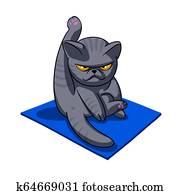Yoga cat - Angry cat - grey cat - fat cat Yoga cat - Angry cat - grey cat - fat cat