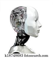 A robot woman head. A robot woman head.