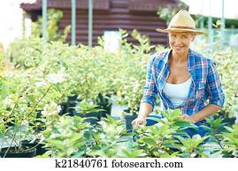 Gardening Gardening