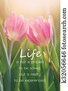 inspiration quote, philosophy inspiration quote, philosophy