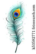 Peacock feather on a white background. Peacock feather on a white background.