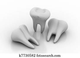 Tooth Tooth