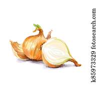Vegetable set. Onion, radish, cucumber, blot. Harvest and Thanksgiving fruit of nature, food collection for restaurants, menus, posters and grocery bags. Graphics and color Vegetable set. Onion, radish, cucumber, blot. Harvest and Thanksgiving fruit of nature, food collection for restaurants, menus, posters and grocery bags. Graphics and color