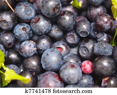 Blueberries