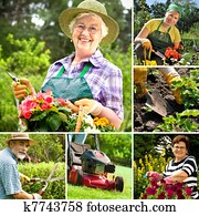 gardening gardening