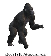 3D Rendering Gorilla on White 3D Rendering Gorilla on White