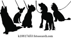 dogs dogs