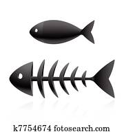 fish, שלד