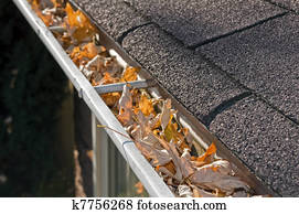 Leaves in rain gutter. Leaves in rain gutter.