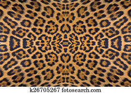Leopard Leopard