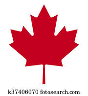 Maple Leaf Maple Leaf