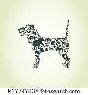 Dog an animal