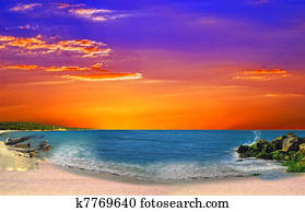paradise paradise
