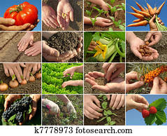 farming collage farming collage
