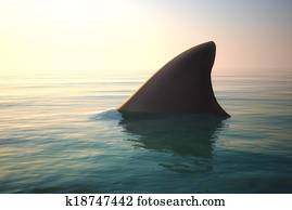 Shark fin above ocean water. Shark fin above ocean water.