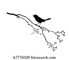 silhouette of the bird on branch t silhouette of the bird on branch t