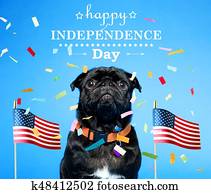 שחור, פ.א.ג., ב, ה, רביעי של יולי