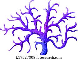 A stemy coral reef A stemy coral reef