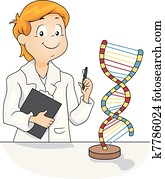 DNA Model DNA Model