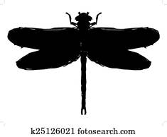 dragonfly dragonfly