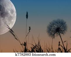 Landscape with the moon Landscape with the moon
