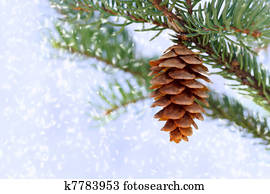 Pine cone with snow