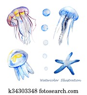 Watercolor jellyfish illustration. Watercolor jellyfish illustration.