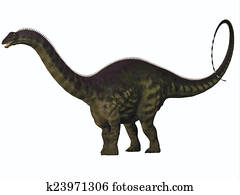 Apatosaurus on White Apatosaurus on White