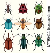 cartoon insect bug icon cartoon insect bug icon