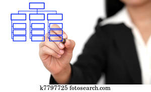 drawing business organization chart